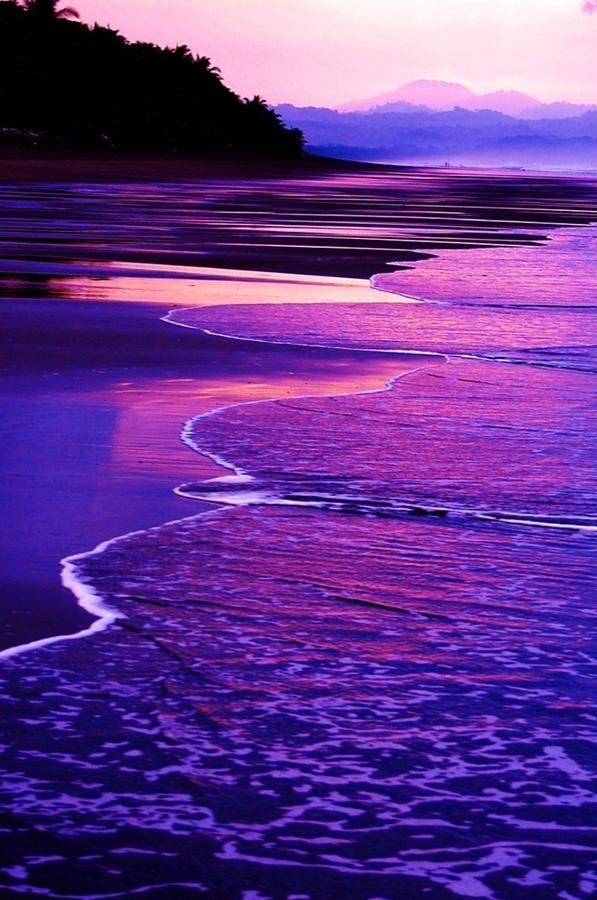 Cabinas Sol Y Mar Zancudo Dış mekan fotoğraf